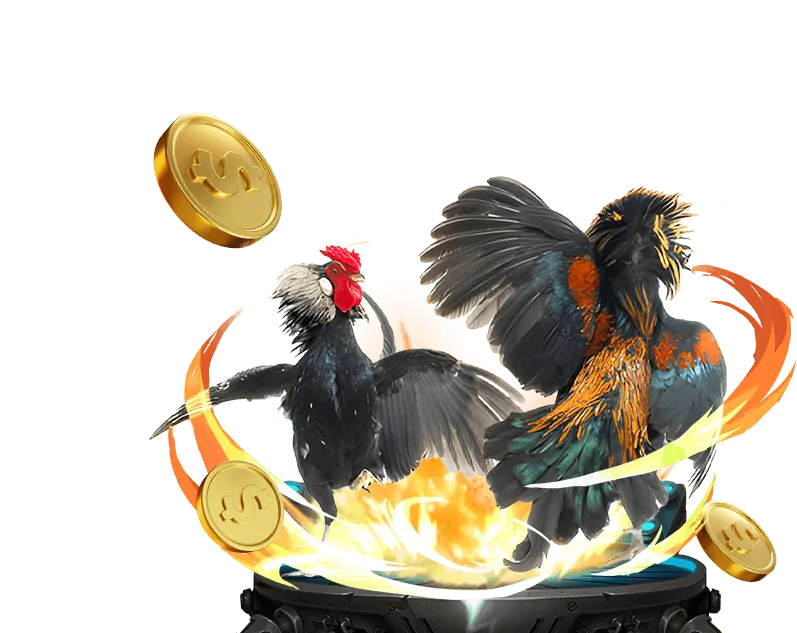 Các loại kèo cược đá gà Tài Xỉu F88